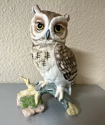 1988 Maruri Eyes Of The Night Screech Owl Porcelain Figurine O-8801 • $19.99