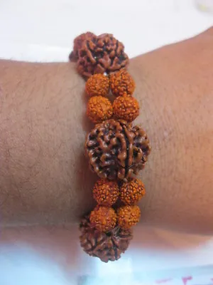 5 Mukhi Rudraksha Five Face Rudraksh 18-20 Mm NEPAL Beads Bracelet Wrist Band  • $13.90