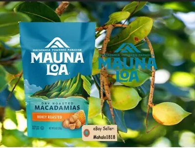 Mauna Loa Macadamia Nuts HONEY ROASTED Dry Roasted Bag / Pouch 8oz FRESH • $16.95