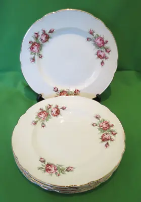 RARE VINTAGE WASHINGTON POTTERY LTD HANLEY FLORAL DINNER/SALAD PLATES X6 -22.5cm • £16