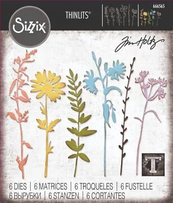 Tim Holtz Vault Wildflowers - Sizzix Thinlits Dies Florals And Flowers • £16.99