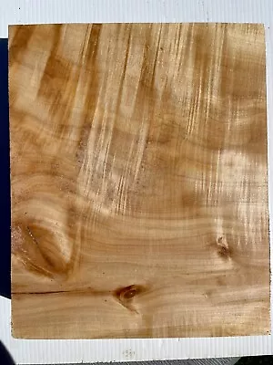 Kiln Dried Curly Maple Bowl Blank Turning Wood Lumber 12x9.75x2.5 Actual Piece • $47