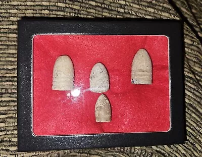 Civil War Bullet Collector's Set 4 Bullets In Display Case AUTHENTIC! • $12.99