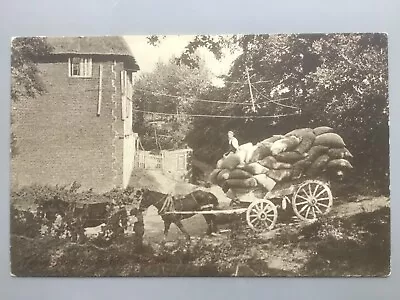 Weston Southampton Hop Farm With Horse Cart Of Hops Passing House C1910 Postcard • £17