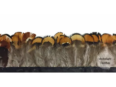 1 Yard - NATURAL GOLD Venery Pheasant Plumage Feather Trim • $13.73