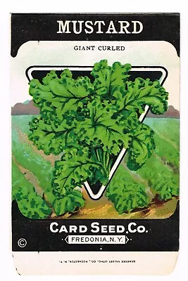 Vintage Seed Packet 1920 General Store Fredonia New York Mustard Giant Curled • $3.95