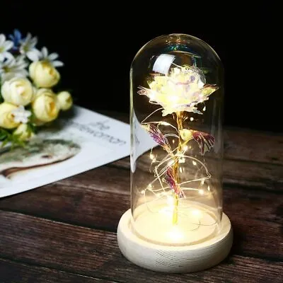 TINYOUTH Rainbow Rose In Glass Dome Wooden Base 24K Rose Light With 20LED 2M/6. • £12.99