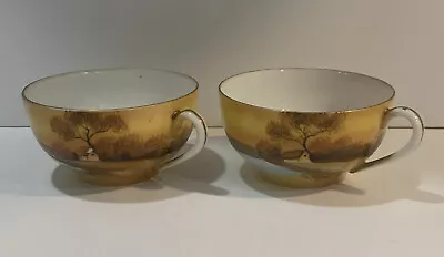 Vintage Hand Painted Noritake Tea Cup Set • $14