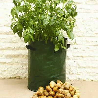 🔥Potato Tomato Planter Veg Grow Bag Sack Patio Garden Balcony Reusable Pot Tub • £3.93