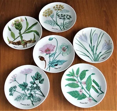 6-horchow Herb Seed Botanical Kitchen Spice Lunch Plates 6pc Japan Vintage 7.75  • $59.99