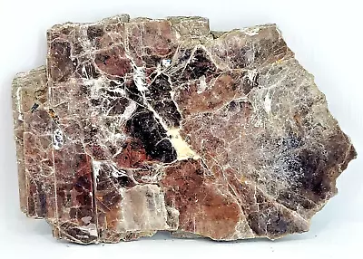 Muscovite Mica  From Mt Mica Mine Paris Maine Huge 10 X6.5 X.5  • $32.99