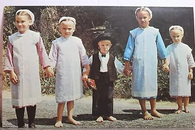 Pennsylvania PA Dutch Country Amish Children Sunday Dress Greetings Postcard Old • $0.50