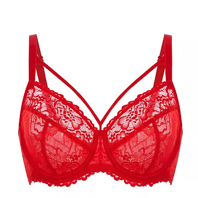 DELIMIRA Women's Plus Size Bra Full Coverage Unlined Underwire Lace Bra B-K Cups • $25.73