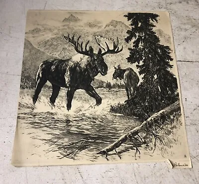 Vintage RH Palenske Etching Print Huge Bull Moose & His Mate • $22.45