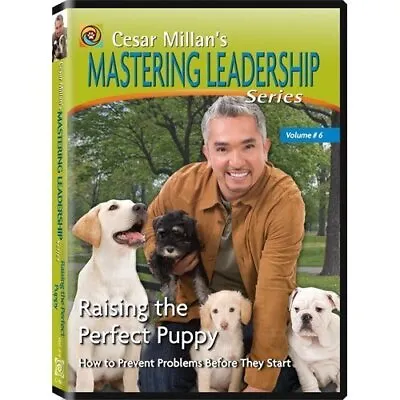 Cesar Millans Mastering Leadership Serie DVD Incredible Value And Free Shipping! • £8.98