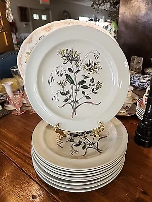 Botanical Wedgwood Etruria Country Lane Dinner Plate Vintage Farmhouse Country • $19