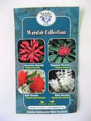Waratah Collection • $11