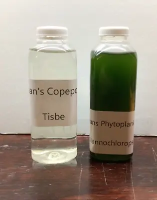 Dean's Copepods Combo Live Tisbe 16oz And Nanno Phytoplankton Free Shipping • $29.99