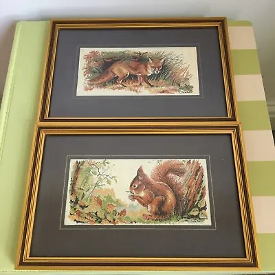 £17.95 • Buy Vintage Framed Woven Silk Pictures Of A Red Squirrel & Red Fox By J & J Cash