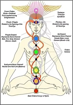 Chakra Healing Energies Wall Chart Poster Detailed  Gemstones  A5 Laminated C • £2.99