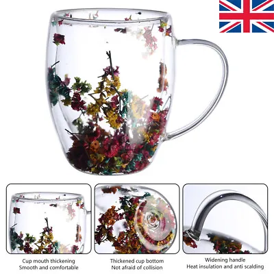 Dry Flowers Double Wall Glass Cup With Handle Heat Resistant Tea Coffee Mug UK • £9.82