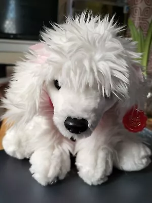 Pink And White Poodle Dog Plush Soft Toy By Keel Toys • £2