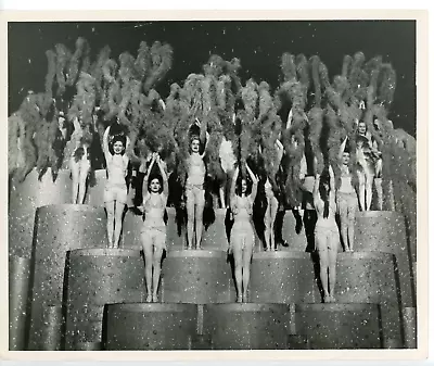 Vintage 8x10 Photo George White's Dancers At The Florentine Gardens Burlesque • $15.99