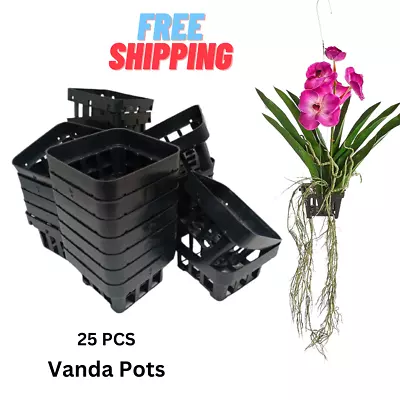 Vanda Orchid Pot Mesh Net Basket Mini Black Plastic Hydro Air Plant Décor 25 Pcs • $31.99