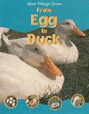 From Egg To Duck Paperback Sally Morgan • £3.94