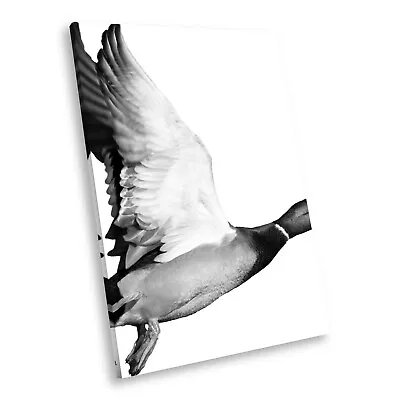 £54.99 • Buy A133 Black White Animal Portrait Canvas Picture Print Large Wall Art Duck Fly