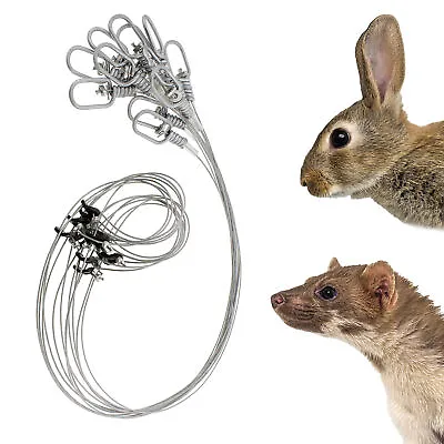Mink & Rabbit Snare Wire Snare Trap 12pk – Rabbit Snare Traps – Small Game Traps • $17.68