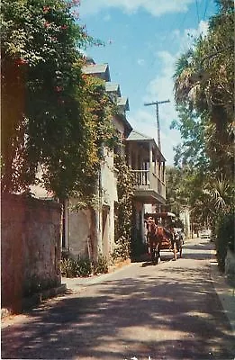 St Augustine Florida~Aviles Street~Horse Drawn Surrey~1950-70s Chrome Postcard • $5