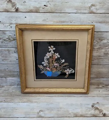Vintage Framed Dried Flowers And Morpho Butterfly Wing Art 10  X 10  • $39