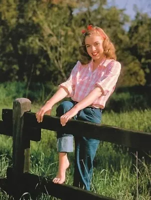 Marilyn Monroe Posing In The Garden 8x10 PRINT PHOTO • $6.98