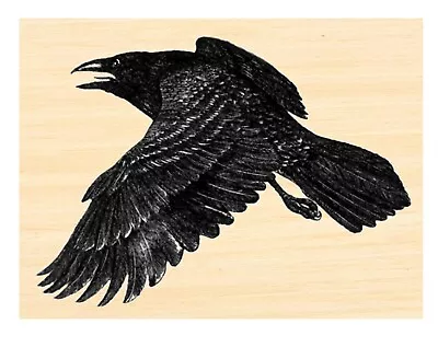 P124 Flying Crow Rubber Stamp • $12.75