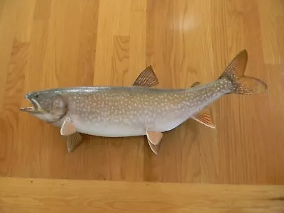 Vintage Antique 27” Lake Trout Taxidermy Mount Fish Real Skin Mount • $75