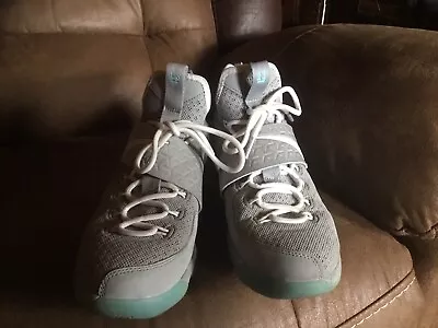 Nike Lebron’s 14 XIV Marty McFly Gray/Blue Size 6.5 • $30