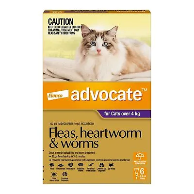 Advocate For Large Cats Over 4 Kg - 6 Pack • $99.25