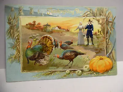 $4.99 • Buy Pc 2536 - Tuck Thanksgiving Postcard - Pilgrim Couple With Turkeys