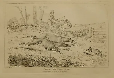 1825 Henry Alken Sporting Print ~ Coursing Hilloo Hilloo • £48