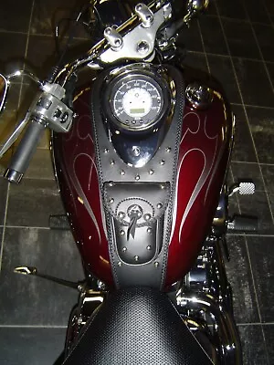 $66.95 • Buy  Yamaha V Star 1100 Tank Bib    1998 - Current