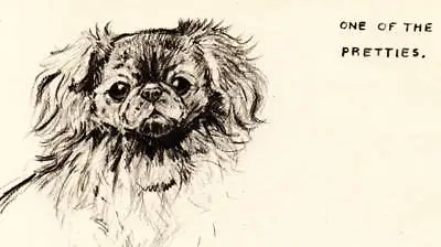 Original Vintage Dog Print 1942 K.F. Barker • £7.75