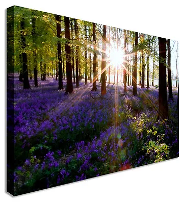 Sunset In Lavender Woods Canvas Wall Art Picture Print • £51.98