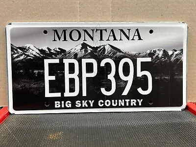 Sweet Grass Community Foundation Montana License Plate • $3