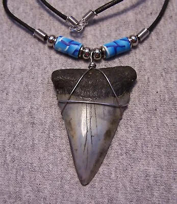 Shark Tooth Necklace 2 1/4  Mako Sharks Teeth Jaw Fossil Megalodon Dive Polished • $27