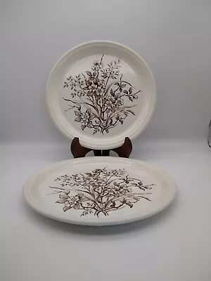 £12.99 • Buy 2 X Vintage Barratts Of Staffordshire Brown Floral Dinner Plates 10  VGC