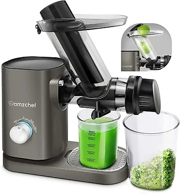 £55 • Buy Amzchef Cold Press Slow Juicer Silver Gray Slow Masticating,Easy To Clean,Quiet