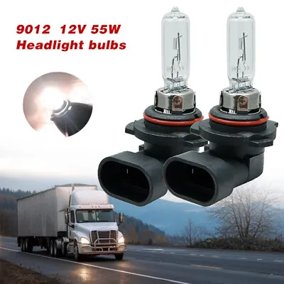 2X Bulb Headlight Clear Halogen Headlamp Halogen Bulbs 9012 12V 55W HIR2 PX22D • $9.15