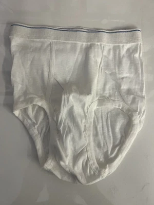 $50 • Buy Vintage Fruit Of The Loom White Brief 16 1970
