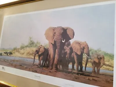 David Shepherd Limited Edition Print Evening In Africa Signed Certificate • £199